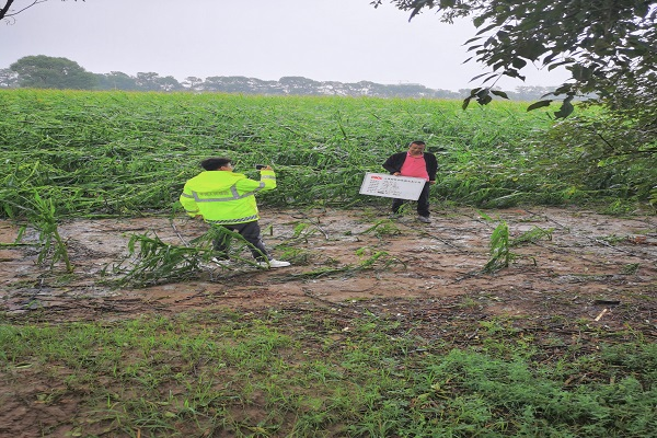 人保财险内蒙古呼和浩特市分公司：闻“汛”而动 雨中护农