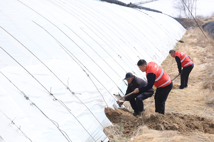 1775724997784712.jpg 微信图片_20260409161330_616_59.jpg