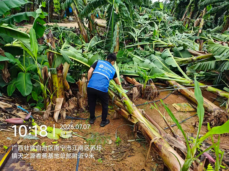 1783899781182698.png 图片2.png